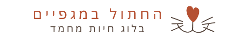 החתול במגפיים